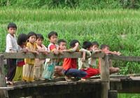 Travelers with Northern Vietnam exposure tour